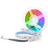 Arotelicht RGBW Striscia LED 5M, 5050SMD 300leds 12V Multi-Colored Tape Lights, per Interne, Cucina, Camera, Sala (5M 24V, RGB+Cool white)