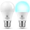 EvaStary Lampadina LED Sensore Crepuscolare, E27 Lampadine LED con Sensore, 9W Bianco Freddo 6000K, Auto On/Off, 800LM, Equivalent E27 60W, per Veranda Giardino Porta d'ingresso Corridoio, 2 Pezzis