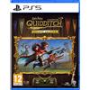 WARNER BROS Harry Potter: Campioni di Quidditch Deluxe Edition - GIOCO PS5