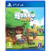 Fireshine Games Hokko Life