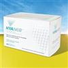 CHIESI FARMACEUTICI SpA HYANEB SOL IPERTONICA 30F 5ML