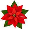 Amovita VeraVita Stella di Natale Cofanetto