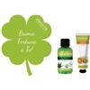 Amovita ALBERO DELLA VITA QUADRIFOGLIO VERALOE