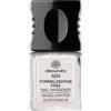 Alessandro International NAIL HARDENER