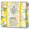 LA FLORENTINA Sapone limone e zenzero