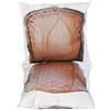 Daycollection FITIACCA9 - Set di 2 Cuscini coprisedia 4 Me K Formica in Cotone, Collezione Cotone, 40 x 40 x 10 cm, Rosa Antico