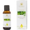FLORA Srl CANAPA OLIO BASE CRP 50ML