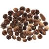Jangostor 40 Pezzi Pigne Natalizie, Dimensione Multipla Naturali Pigne Decorative Per Decorazione da tavolo Albero di Natale Regali artigianali Ringraziamento