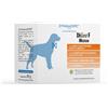 DYNAMOPET DiGea F Medium Mangime Complementare per Cani 20 BUSTINE