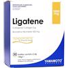 YAMAMOTO RESEARCH Ligatene Tendoforte 30 Bustine, Integratore Alimentare di Collagene Idrolizzato e Bromelina, Favorisce il Benessere di Ossa e Articolazioni, Gusto Fragola e Frutti di Bosco