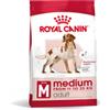 Royal Canin Medium Adult per cane 15 kg + gratis 1x Digestion Chews - 160 gr