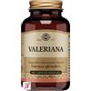 SOLGAR IT. MULTINUTRIENT SPA VALERIANA 100 CAPSULE VEGETALI