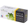 Véritable Lingot® Lattuga Batavia BIO - Compatibile con Orti Interni Exky® - Ricarica pronta all'Uso - Substrato con Semi Integrati