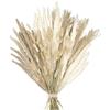 RUGBOL Bouquet di Fiori Secchi, Erba della Pampa, Boho, Fiori Secchi per Vaso, per la Casa, la Camera da Letto e il Soggiorno (Stile 4)