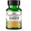 Source of Nature® Coenzima Q10 200mg - 120 Capsule Vegane (4 Mesi) | Ubichinone Bioidentico Fermentato Naturalmente | Alta Dose & 99% Puro | con BioPerine® Pepe Nero
