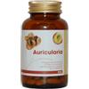 FUNGHI ENERGIA&SALUTE Srl AURICULARIA LINEA PLUS 90CPR