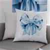 PETTI Artigiani Italiani - Coppia di Federe Cuscino 80x80 cm in Microfibra, Cuscini Arredo Camera da Letto, Divano, Salotto, Set 2 Fodere Copricuscino, Federa Fiocco Celeste, 100% Made in Italy