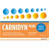 BIOFUTURA PHARMA SpA CARNIDYN PLUS 20 BUSTINE DA 5 G GUSTO ARANCIA