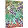 Paperblanks | 2026 Iris di Van Gogh | Iris di Van Gogh | 12 Mesi | Mini | Verso | Chiusura con Fascia Elastica | 160 Pg | 100 GSM