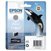 Epson - Cartuccia ink - Nero chiaro - T7607 - C13T76074010 - 25,9ml (unità vendita 1 pz.)