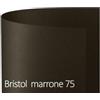 FAVINI Cartoncino Bristol Color - 50 x 70 cm - 200 gr - marrone 75 - Favini - conf. 25 fogli (unità vendita 1 pz.)
