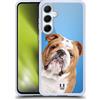 Head Case Designs Bulldog Inglese Razze Famose di Cani Custodia in Gel [Protezione di Grado Militare] Compatibile con Samsung Galaxy A55 5G