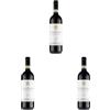 Tre Secoli Barbera d'Asti "Coste Mezzane" Docg - 750 ML (Confezione da 3)