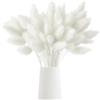 DabbOo 120 Teste di Erba Della Pampa Secca Fiori Secchi Pampasgras Bouquet Erba di Coda di Coniglio Secca Fiori Secchi Bianchi per Decorazioni Domestiche Matrimoni Eventi Sale per Eventi(Bianche)