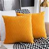 Sunia Fodera per Cuscino di tiro Set di 2 Federe per Cuscino 40x40cm Quadrata Decorativa Fodere per Cuscini Moderne in Velluto per Divano Letto Divano Sedia Camera da Letto Soggiorno Copricuscini