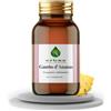 ERBEX essere e benessere ERBEX - Integratore Alimentare a Base di Bromelina da Gambo d'Ananas, 160 Compresse - Supporto al Drenaggio dei Liquidi Corporei e alla Funzionalità del Microcircolo