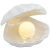 BORDEAG conchiglia perla luce notturna lampada a conchiglia in ceramica, conchiglia perla luce shell decorazioni notturna conchiglia perla lampada comodino per camera da letto, soggiorno, lato letto