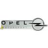 4R Quattroerre.it Emblema Fregio Adesivo 3D Compatibile con Opel Motorsport, 38 x 90 mm (Argento)