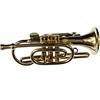 Miniblings Cornet Spilla flicorno Badge Pin + Box Oro Tromba Trumpeter