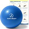ProBody Pilates Piccola palla per esercizi, 22,9 cm, mini morbida palla da yoga per stabilità, sbarra, fitness, addominali, fisioterapia e fisioterapia a casa, palestra e ufficio (nero)