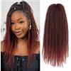 XIIMENALU Marley Twist Braiding Afro Curly Cuban Senegalese Crochet Hair Sintic Crochet Braids (T350#, 3 pezzi)