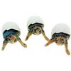 The Globe Imports Inc Globe Imports - Mini statuine a Forma di Tartarughe Marine, 3 Pezzi