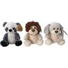 AMI PLUSH Teneri Cuccioli