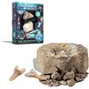 Discovery Mindblown Kit paleontologo con 2 denti di squalo
