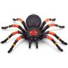 SUPERSTAR Creepy set - tarantula, snake, small spider