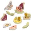 Trudi Sevi nature mix+match fiori e farfalle