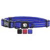 DDOXX Collare Cane Nylon, Riflettente, Imbottito, Regolabile | Tanti Colori e Taglie | per Cani Piccoli Medi e Grandi | Collari Gatti Cuccioli Piccola Media | Collarino Gatto | Blu, M, gps cane