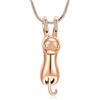 VCCWYQK Collana con urna per ceneri per animali domestici, ciondolo commemorativo in acciaio inox per contenere ceneri ricordo gioielli per gatto (D)