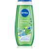 Nivea Orchard Breeze 250 ml