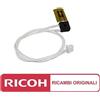 Ricoh Termistore Originale (AW10-0073) RICOH Aficio 1015 (2pz per Macchina)