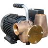 JABSCO Utility80 230v 1400rpm bsp neo