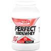 Biovita WHYSPORT PERFECT 100% WHEY FRAGOLA/BANANA 900 G