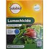 SOLABIOL LUMACHICIDA NATURALE A BASE DI FOSFATO FERRICO 500 G PFnPE R.M.S.N°18642