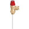 Caleffi VALVOLA SICUREZZA COMBINATA 3/4MX22 6 BAR COD.309560