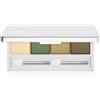 Clinique All About Shadow™ Quad 3.3 g
