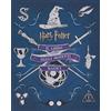 PANINI SPA Harry Potter. Il libro degli oggetti magici. Ediz. illustrata